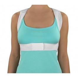 POSTURE CORRECTOR MEDIUM/LARGE 38 in. - 40 in. POSTURE CORRECTOR MEDIUM/LARGE 38 in. - 40 in.