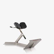 FreeMotion EPIC 45-Degree Back Extension FreeMotion EPIC 45-Degree Back Extension