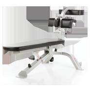 FreeMotion EPIC Abdominal Bench FreeMotion EPIC Abdominal Bench