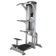 FreeMotion EPIC Assisted Dip-Chin FreeMotion EPIC Assisted Dip-Chin
